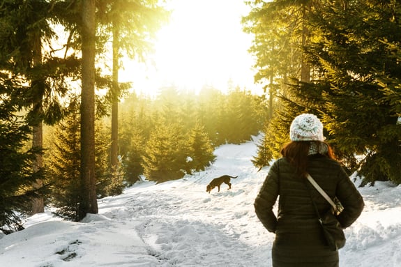 Frau geht mit einem Hund im Wald im Schnee spazieren