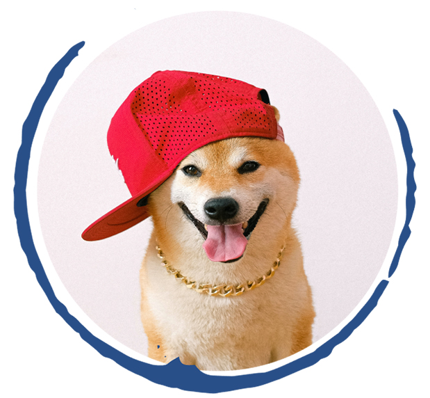 Dog6